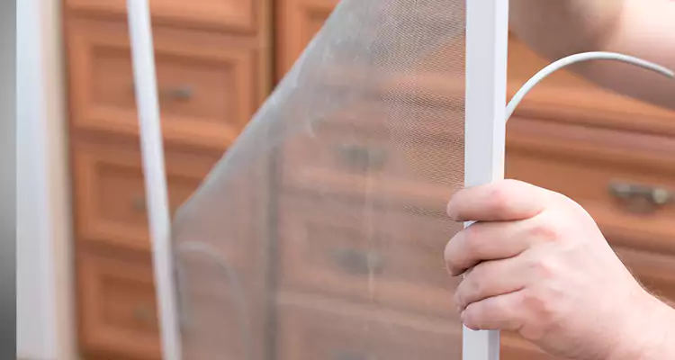 Privacy Mesh Screen Door Installation in Milpitas, CA